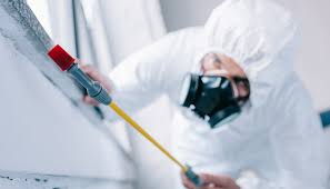 Best Residential Pest Control  in Sitka, AK